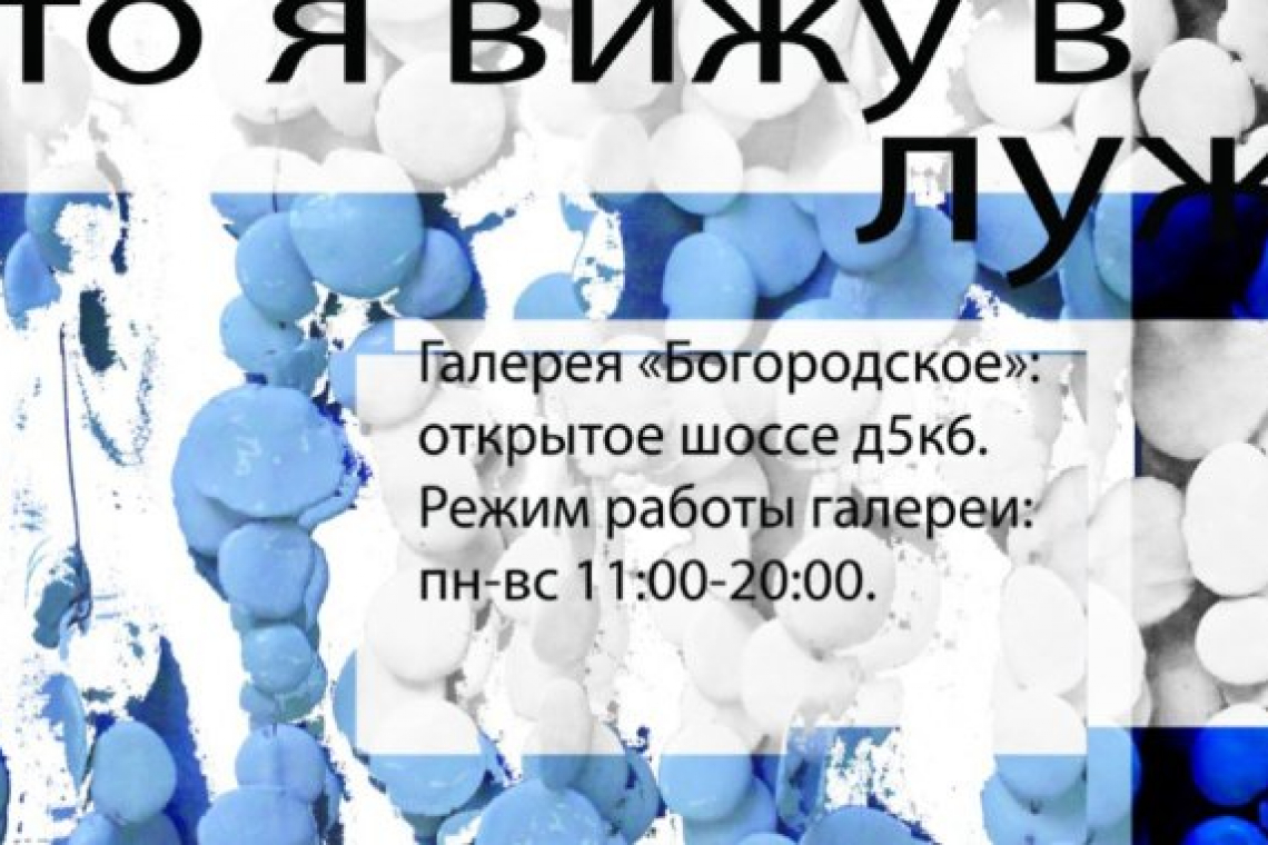 Выставка «Что я вижу в луже» откроется в галерее «Богородское» 13 марта