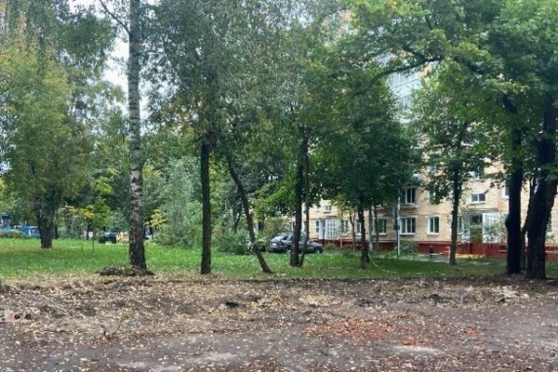 Пять нелегальных построек снесли в районе Богородское