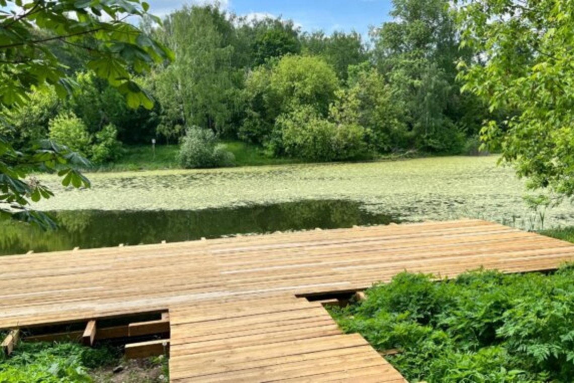 Обустройство прогулочной зоны у Казённого пруда проверили депутаты Богородского