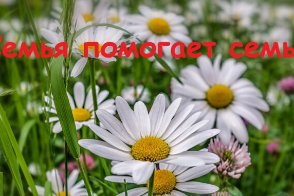 В Богородском идёт подготовка к акции «Семья помогает семье»