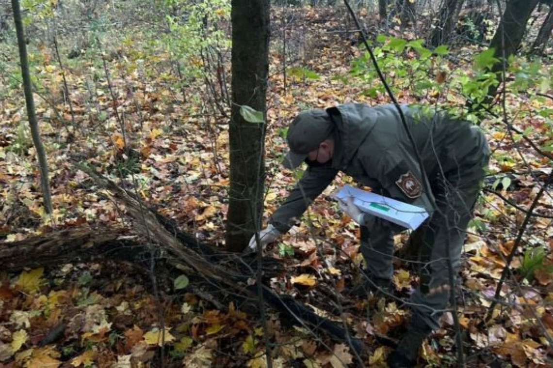Осенняя иммунизация животных продолжается в НП «Лосиный остров»
