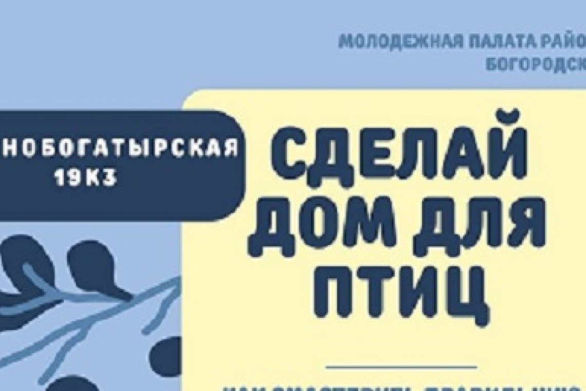 Кормушки для птиц научит делать молодёжная палата Богородского